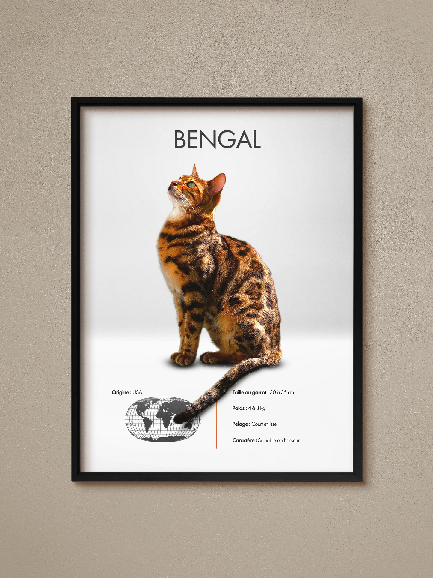 Bengal