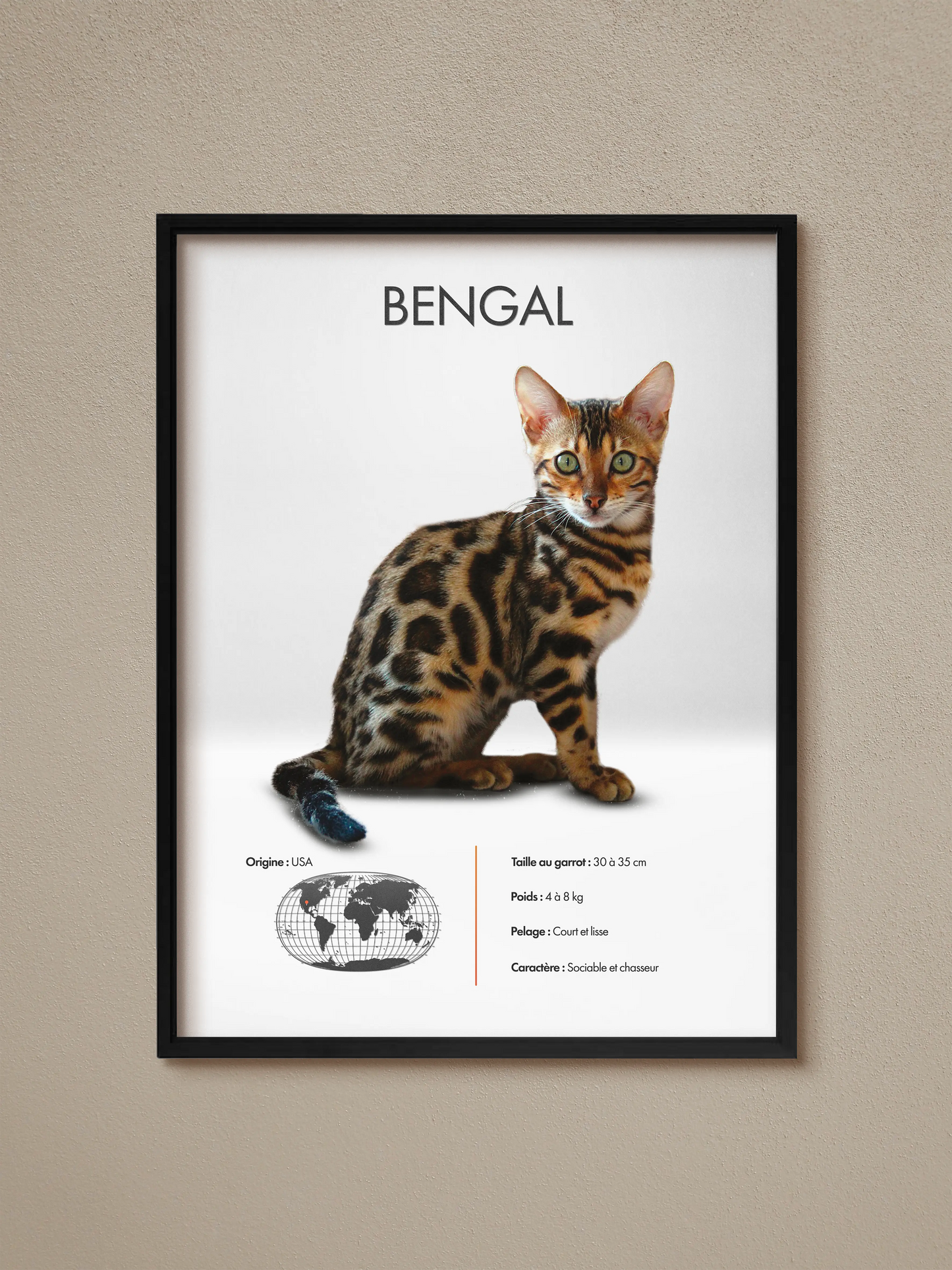 Bengal