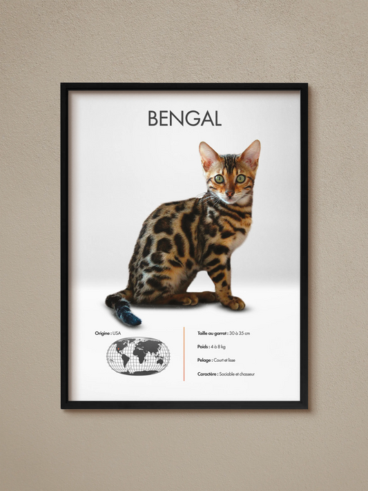Bengal poster