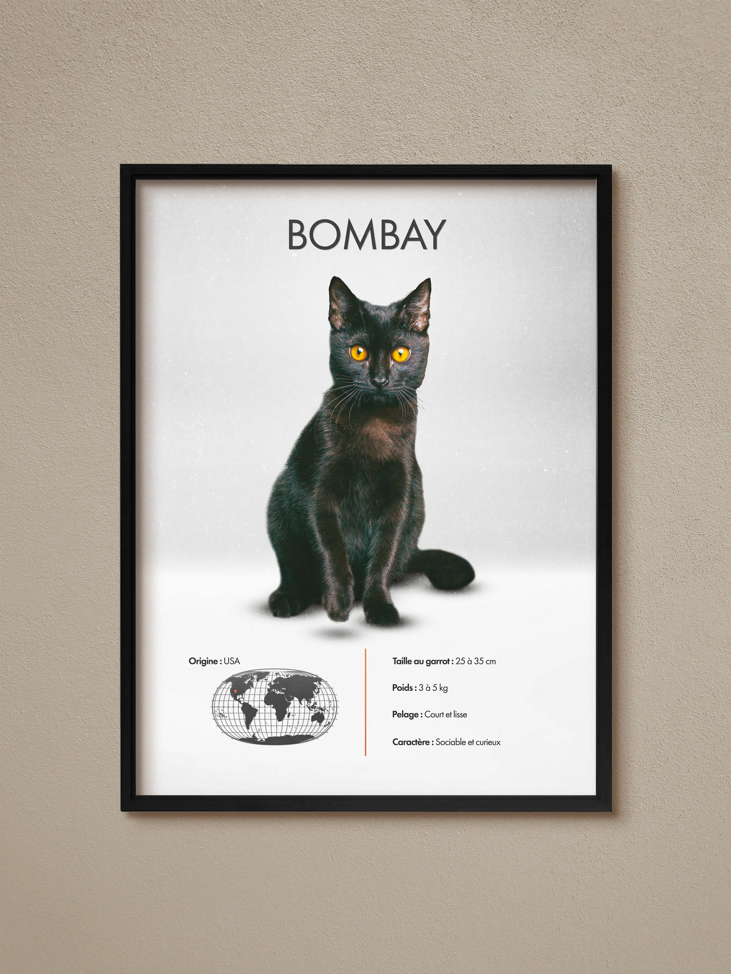 Bombay