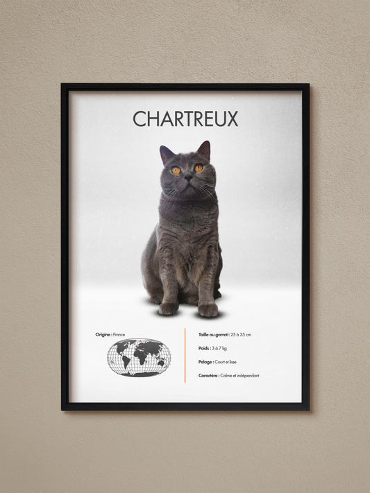 Chartreux poster
