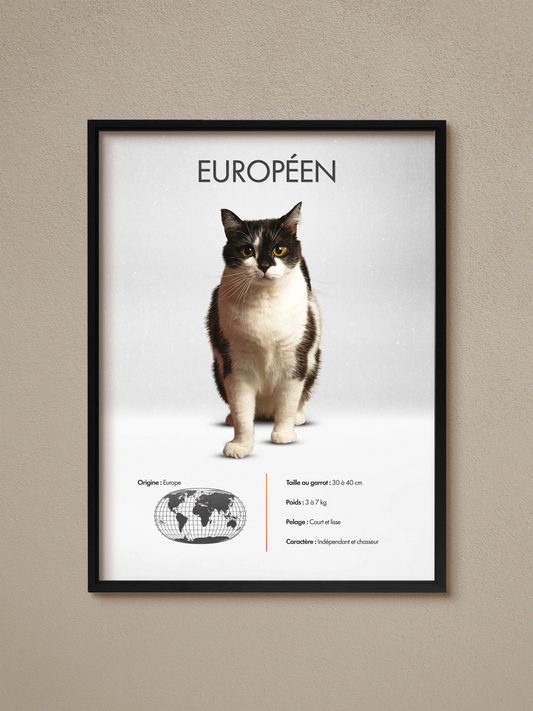 European Poster