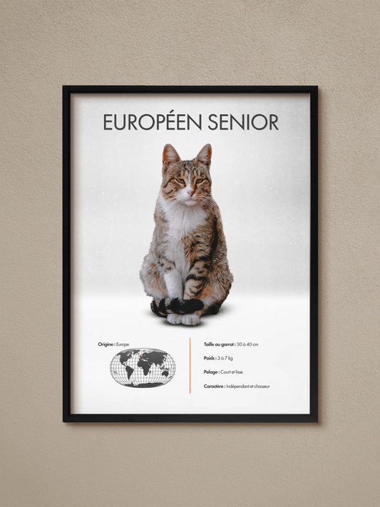 Senior European Poster