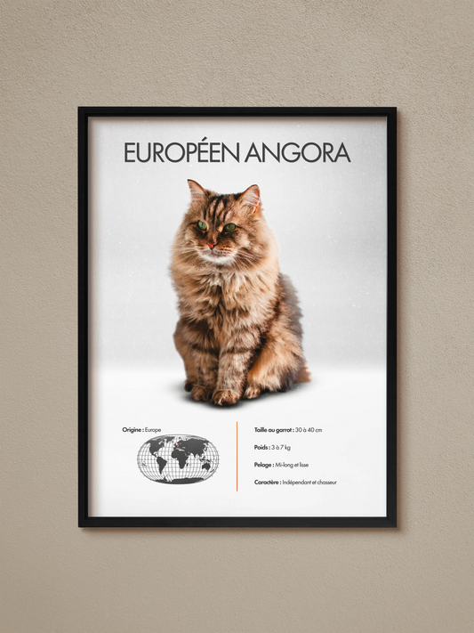 European Angora Poster