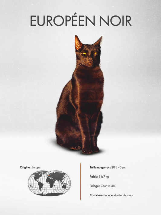 Black European Poster