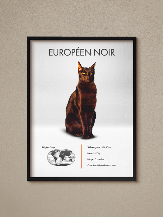 Black European Poster