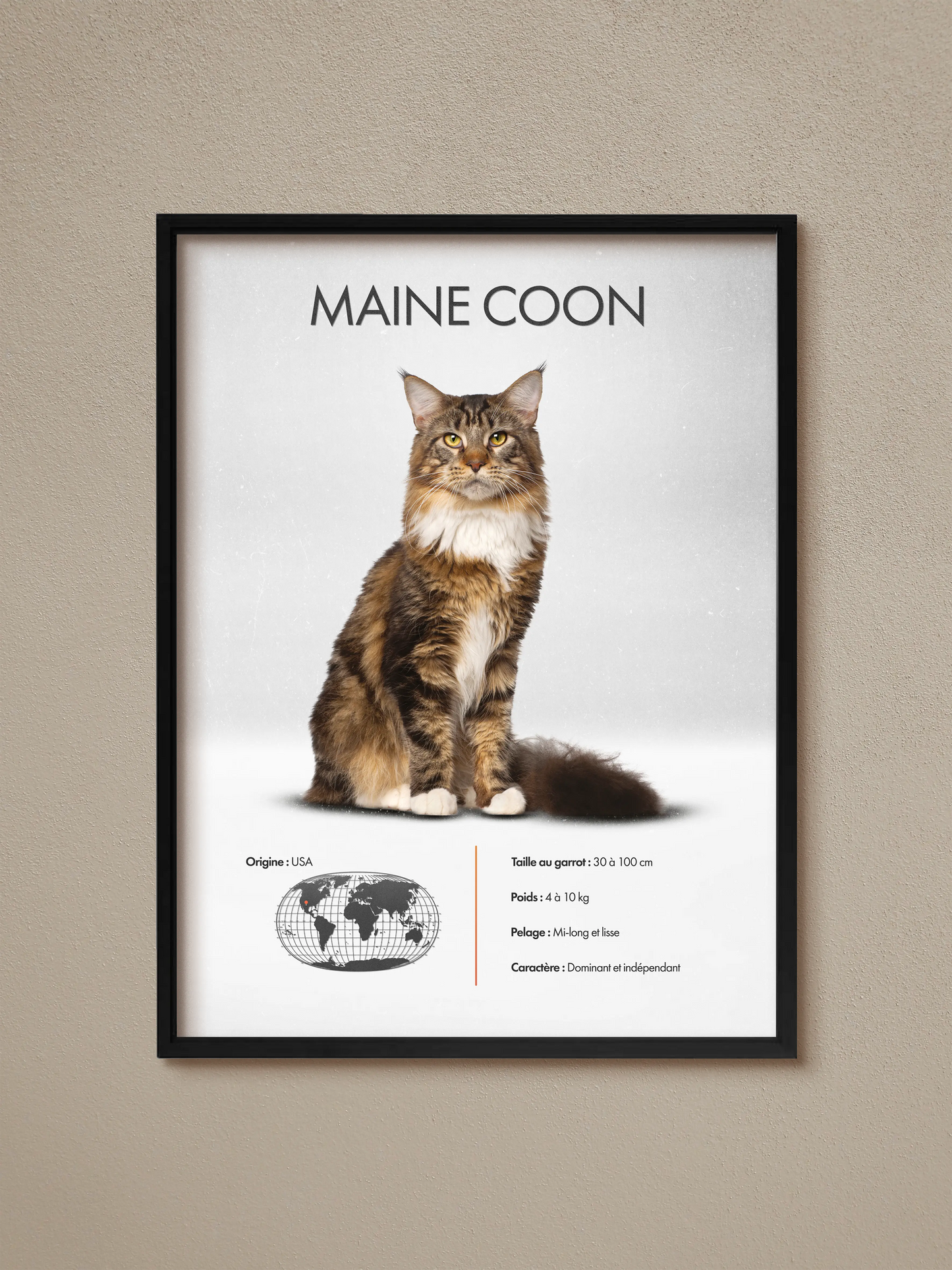 Maine Coon Poster