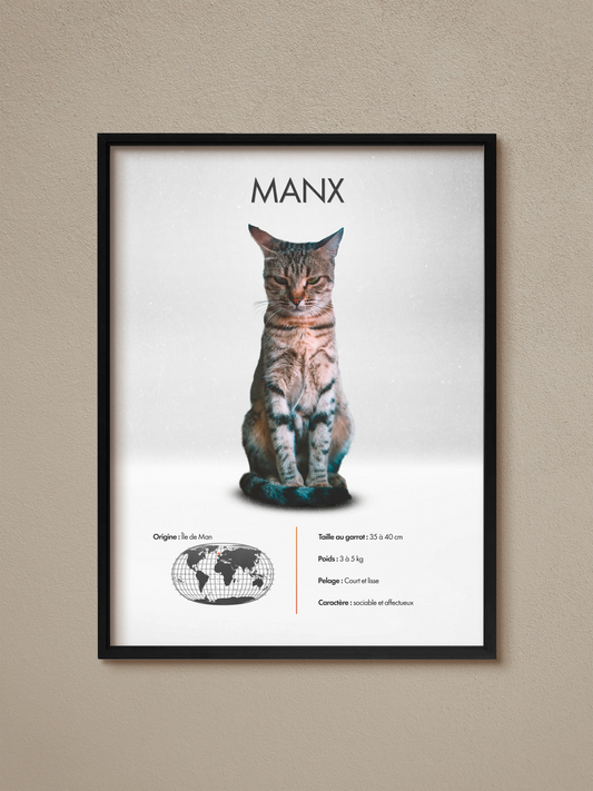 Manx