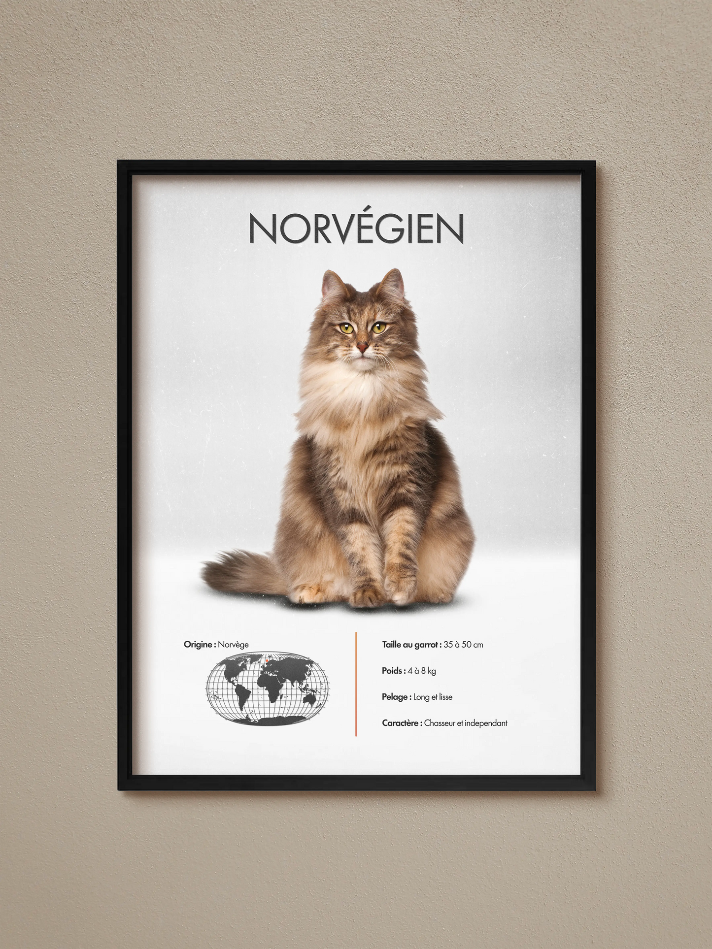 Norwegian Poster