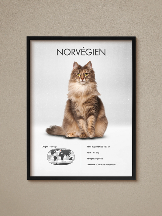 Norvégien