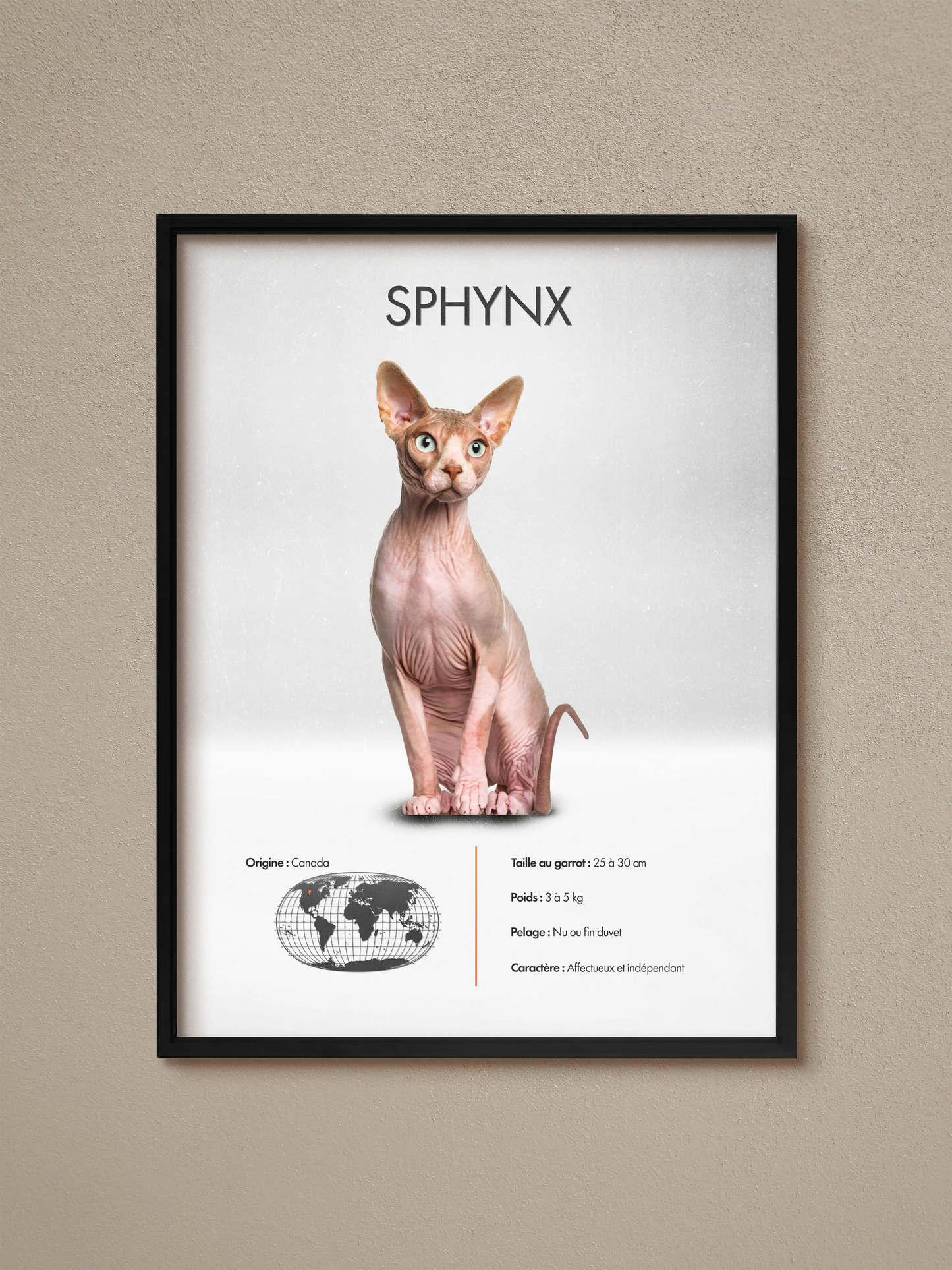 Sphynx