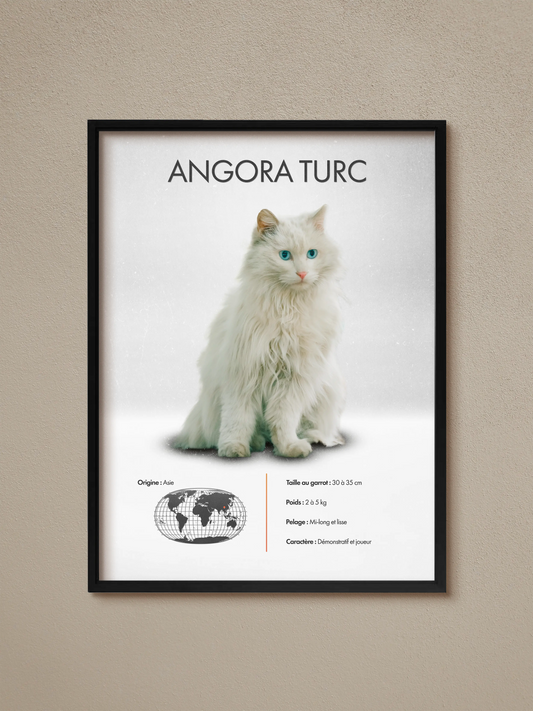 Turkish Angora Poster