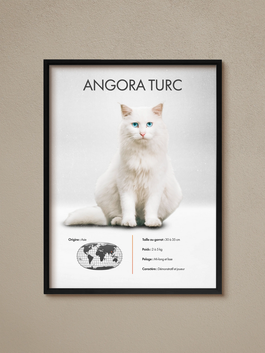 Turkish Angora Poster