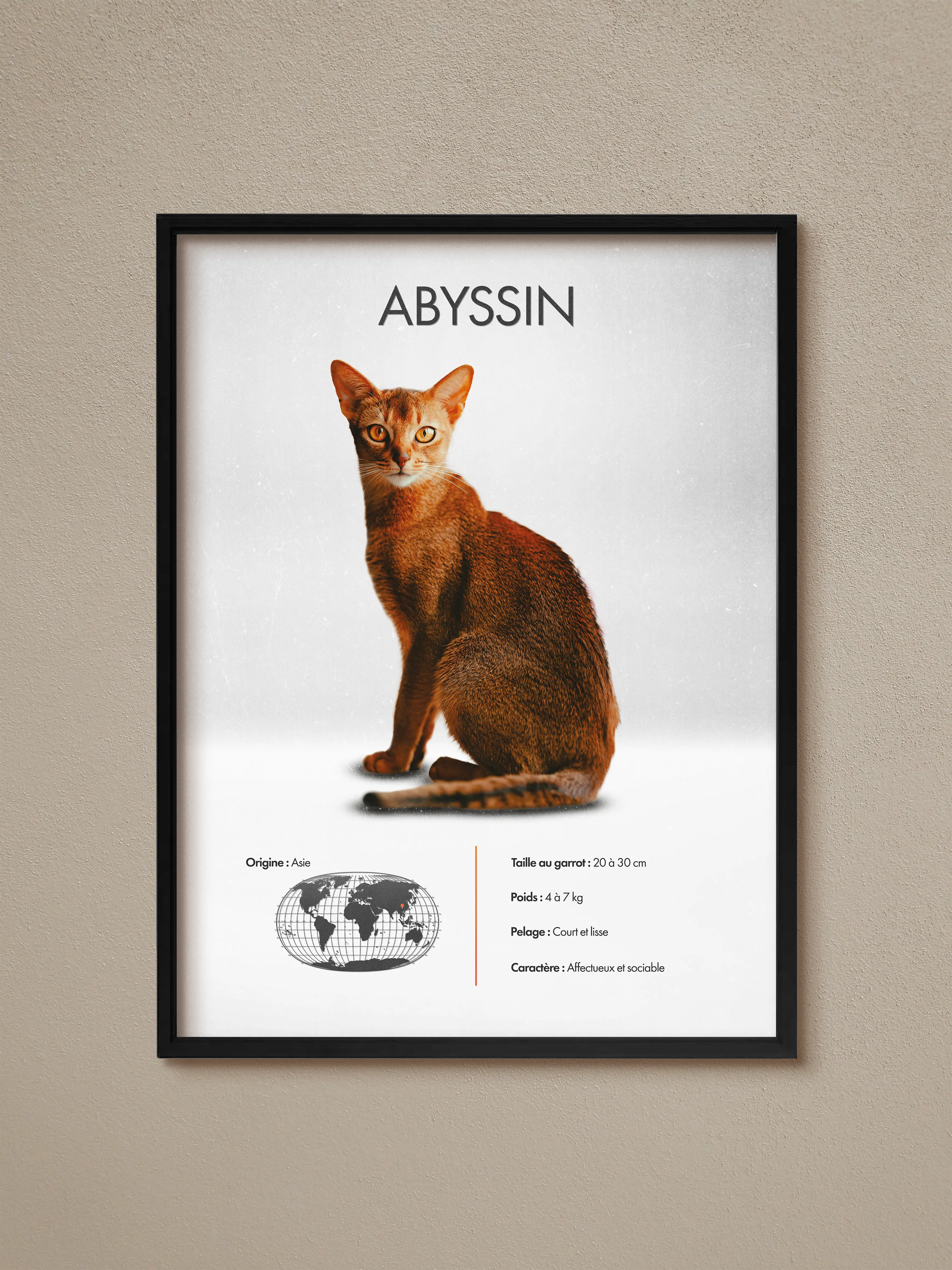 Abyssin
