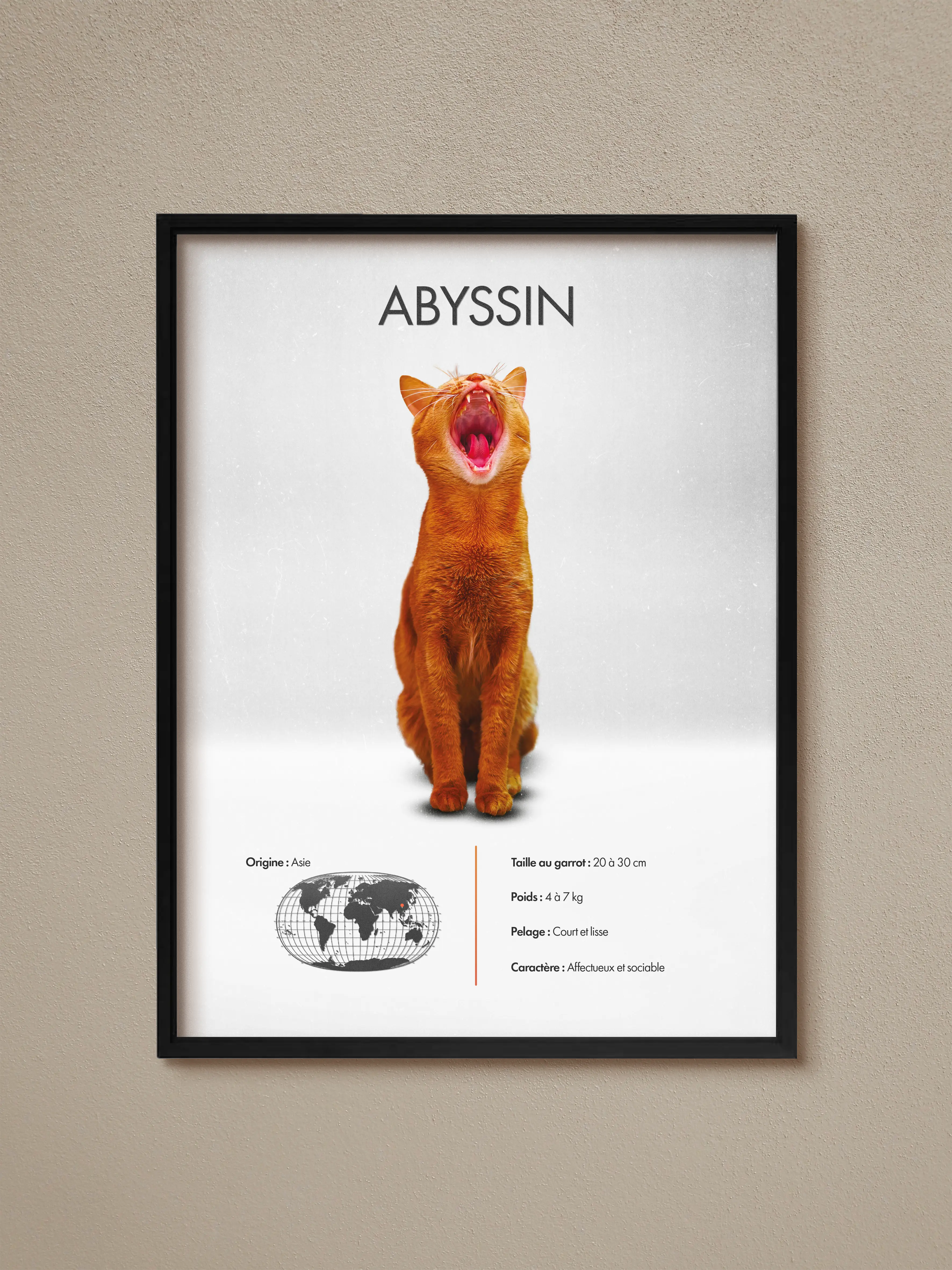 Abyssin