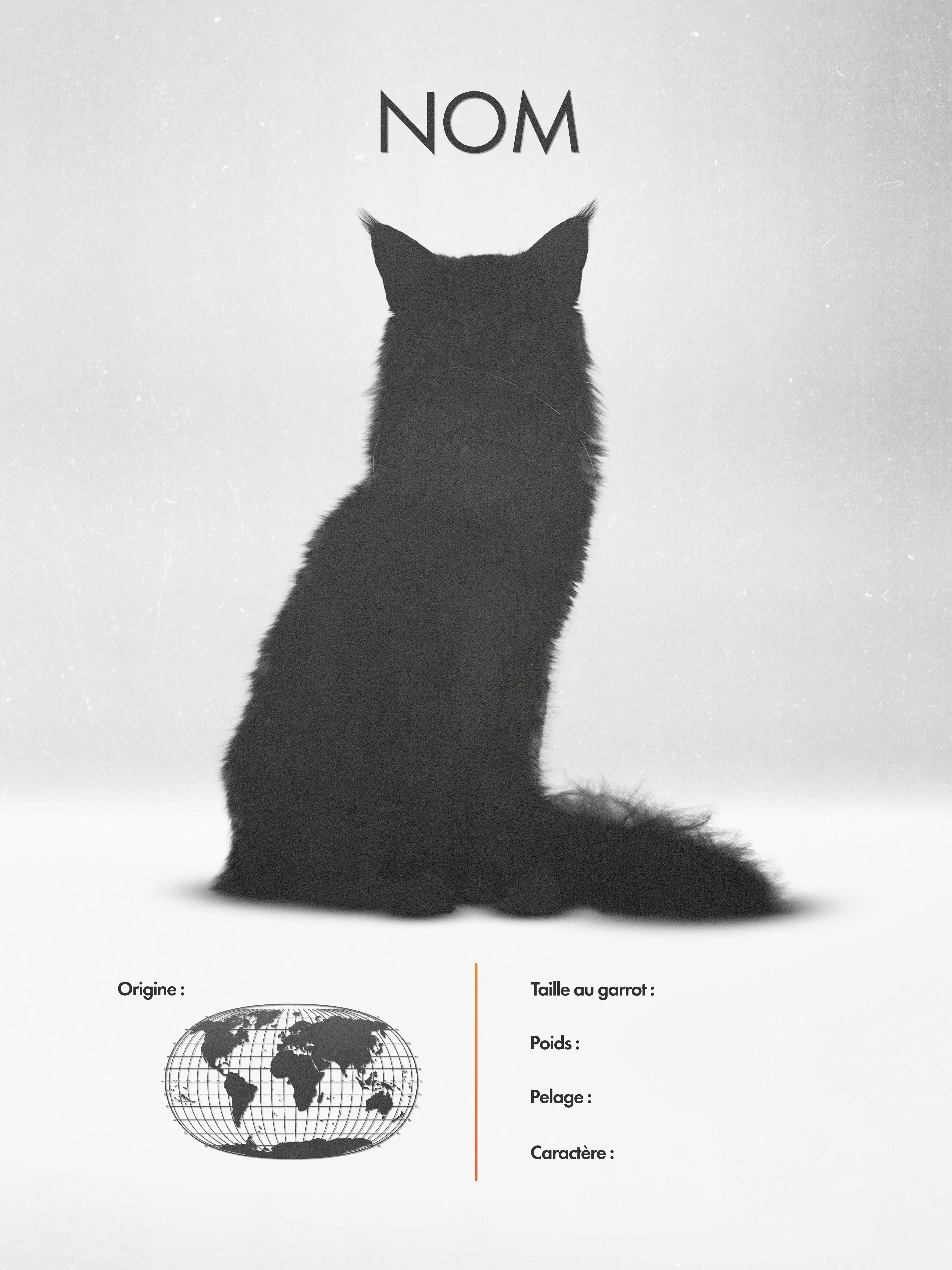 Abyssinian Poster