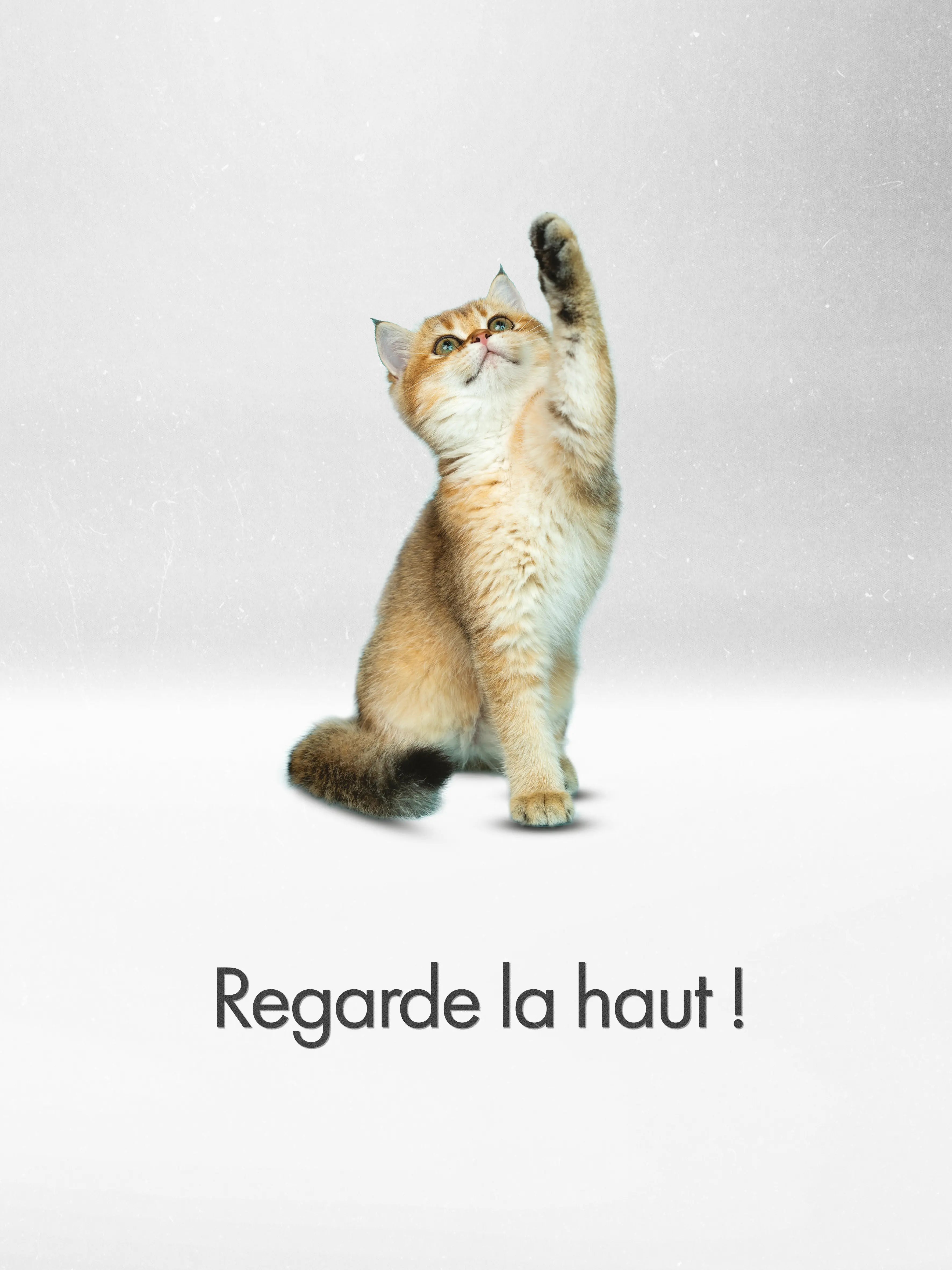 Cute Poster