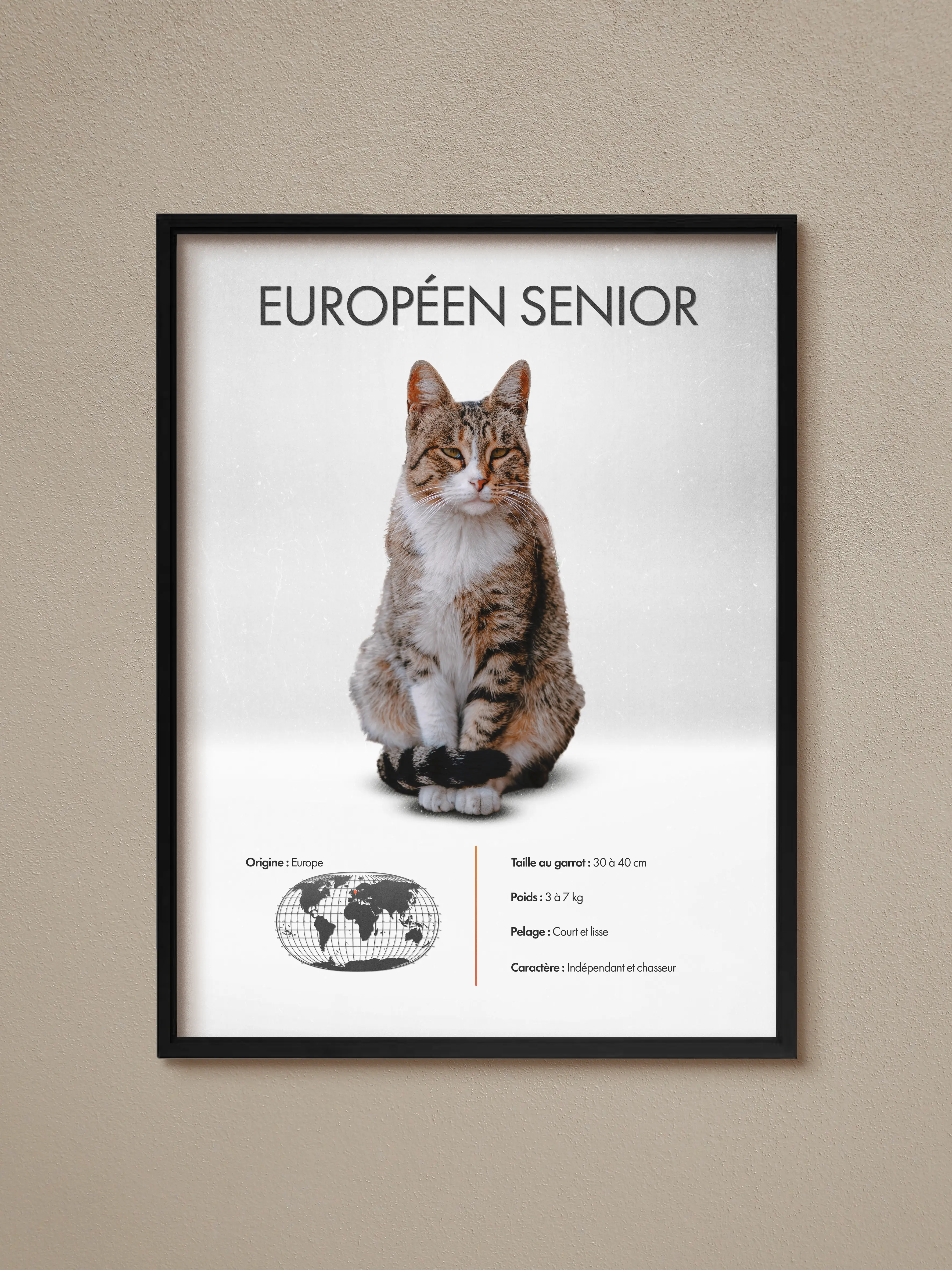 Européen Sénior