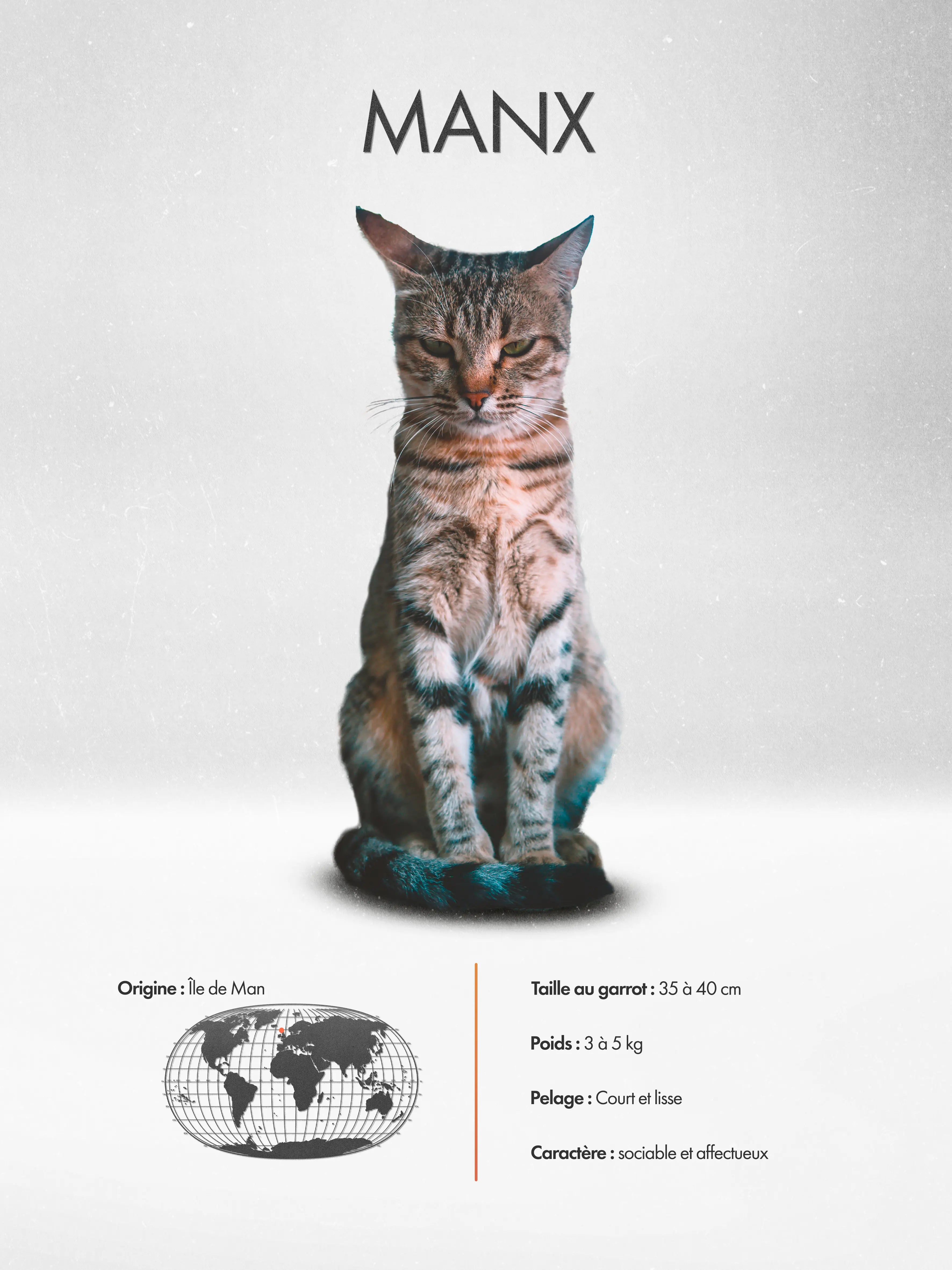 Manx Poster