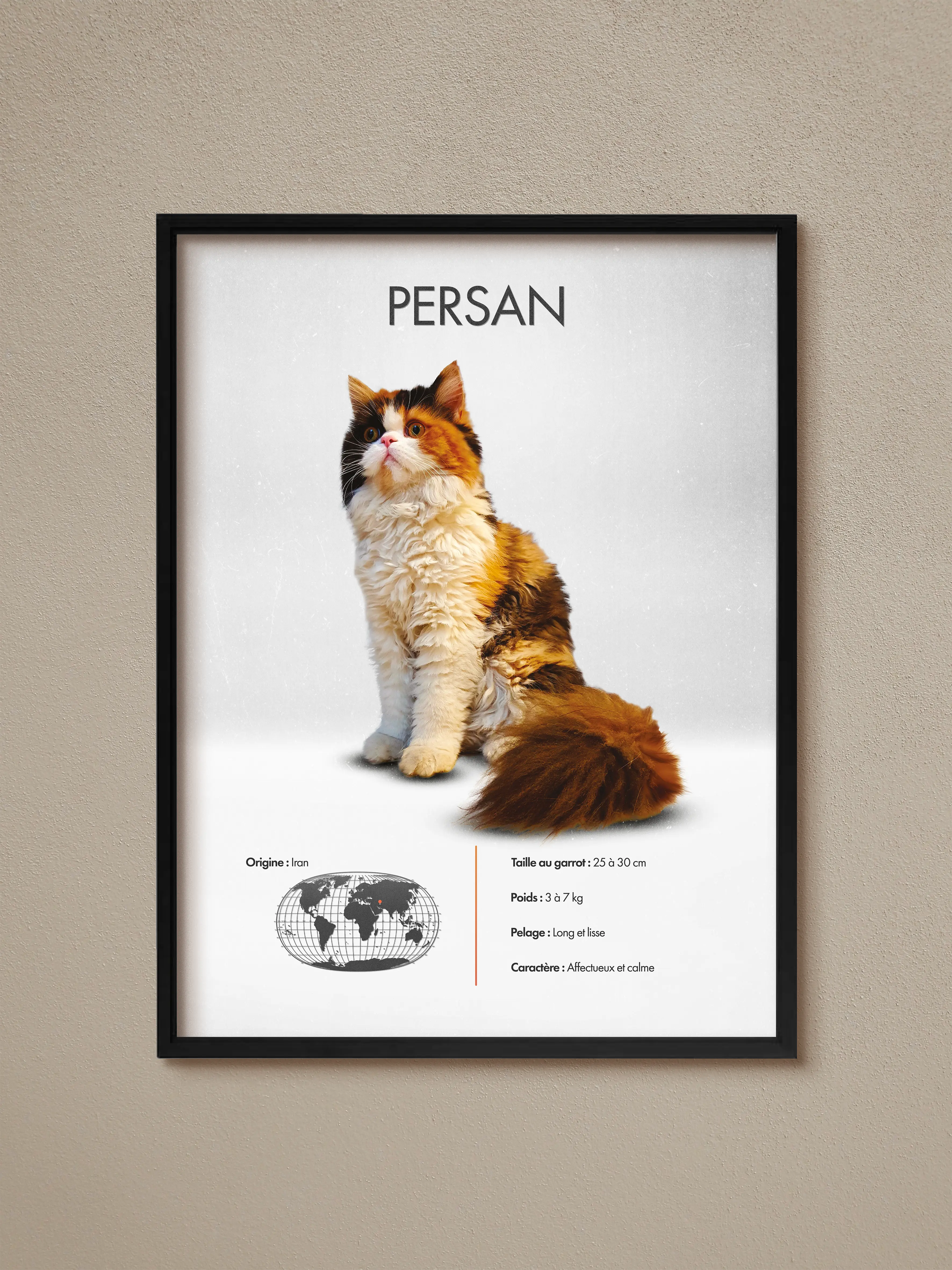 Persan