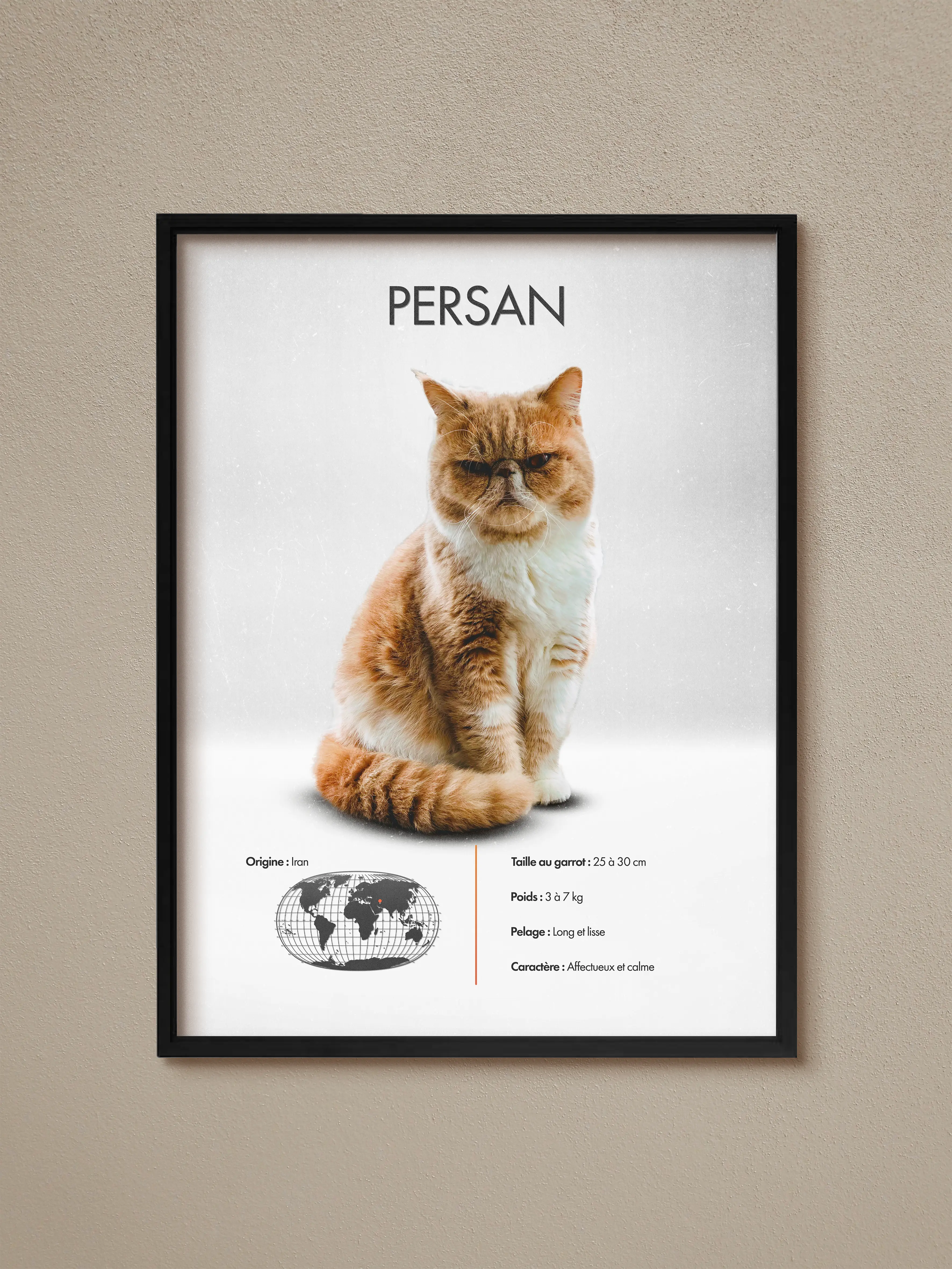 Persan
