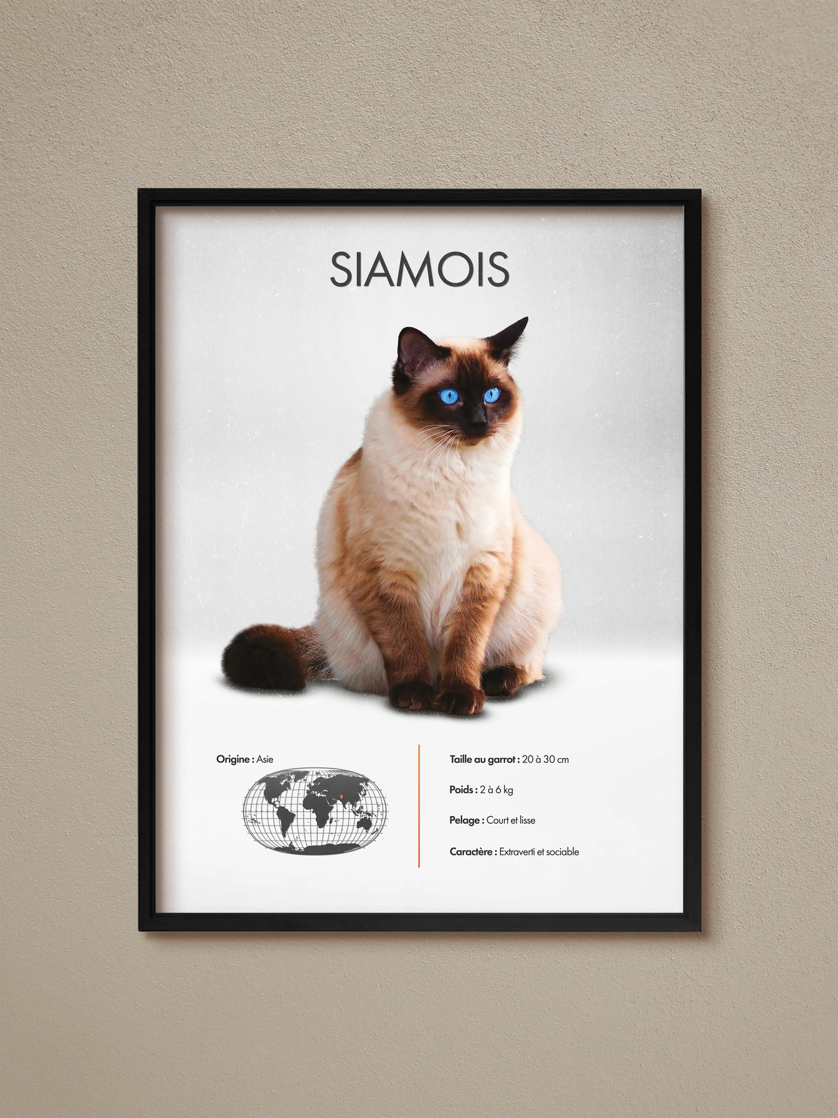 Siamois