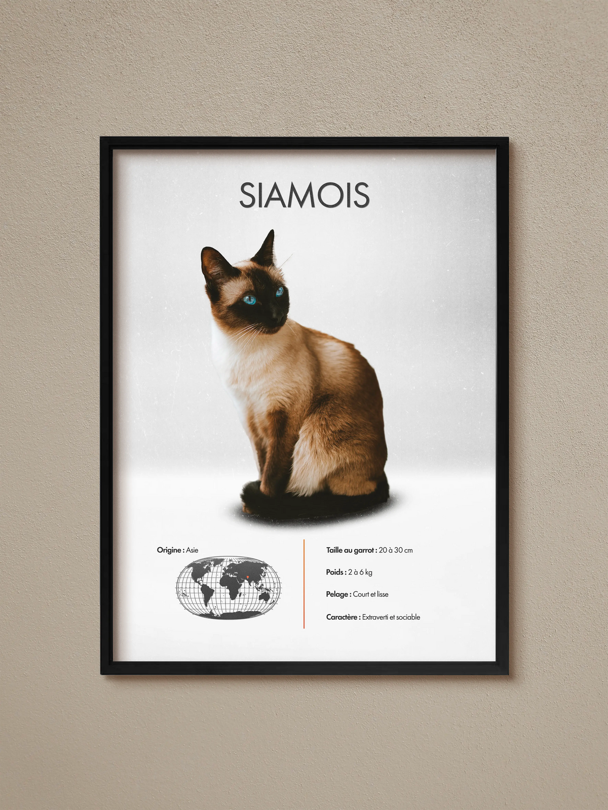 Siamese Poster