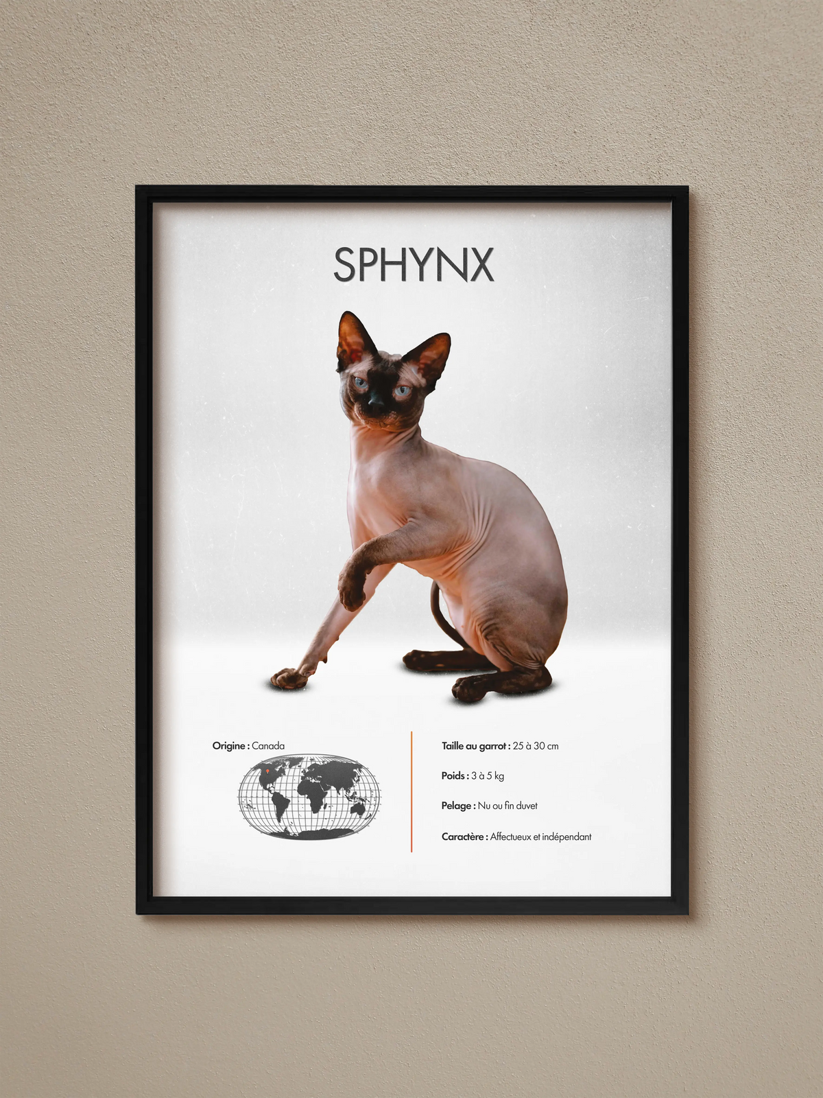 Sphynx Poster