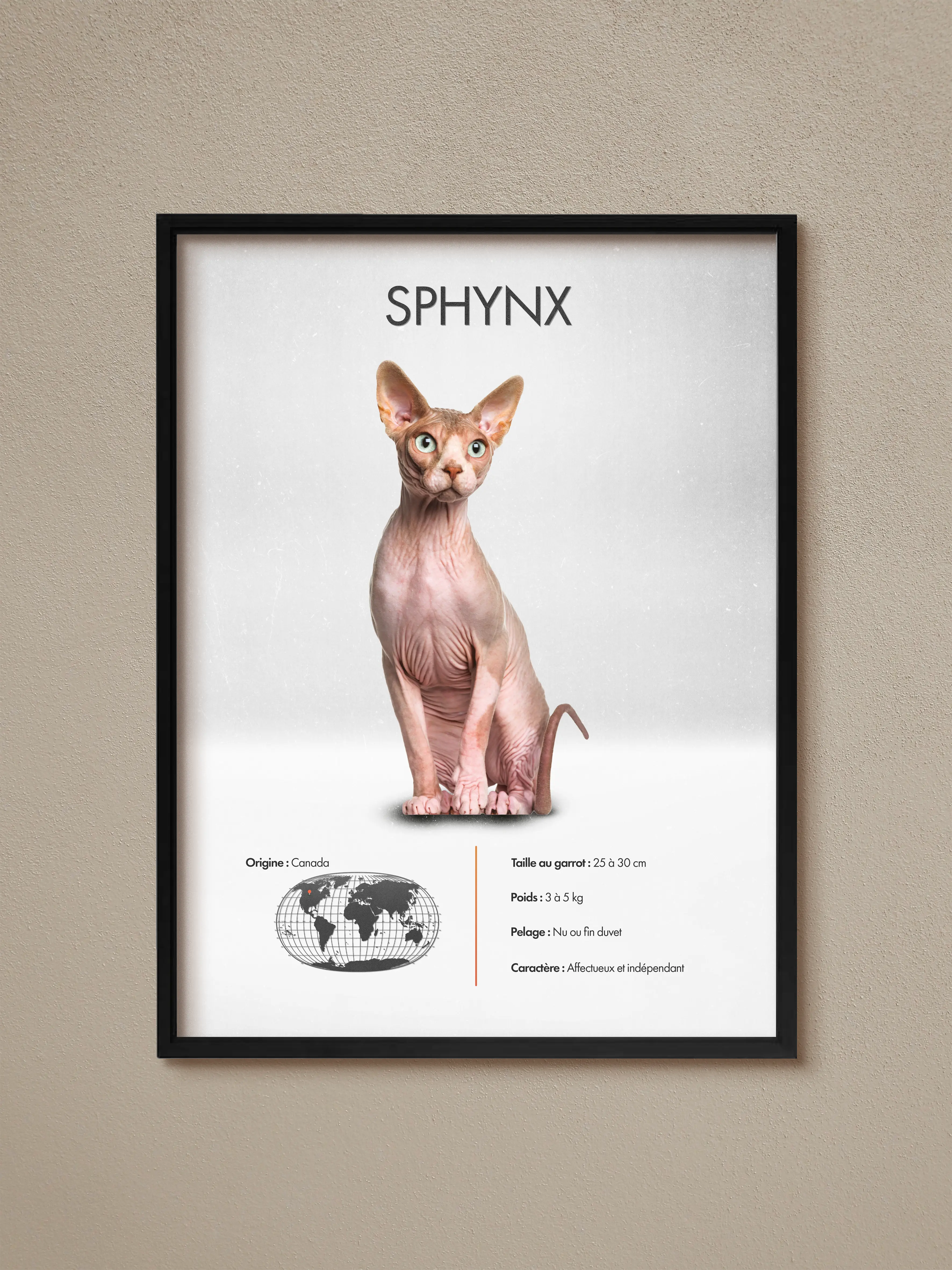 Sphynx Poster
